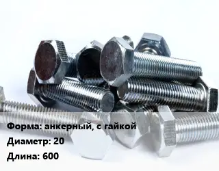 Болт анкерный, с гайкой 20х600